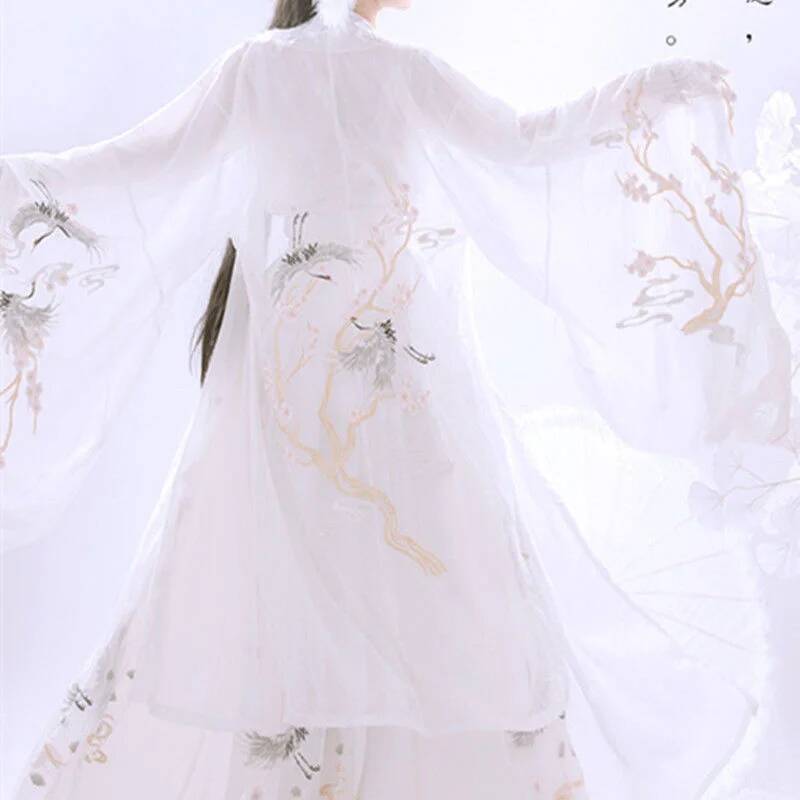 Chinese Ancient Hanfu Women's  - Embroidery Dress recension och pris